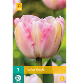 Jub Holland Tulp Finola is een dubbele pioenvormige tulp, laat bloeiend