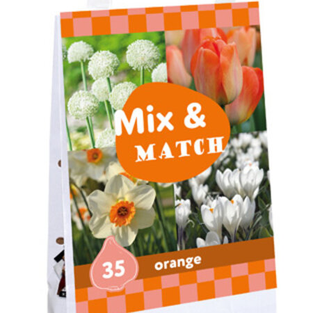 Jub Holland 35 Mixed Flower Bulbs - Orange and White Flowers