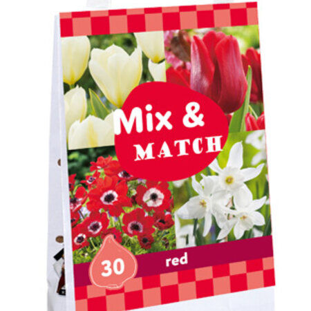 Jub Holland Mix & Match Red - 30 Gemengd Rode en Witte Bloembollen