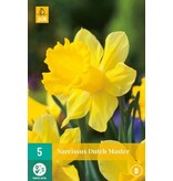 Jub Holland Daffodil Dutch Master is an impressive early-flowering yellow daffodil.