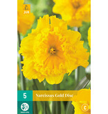 Jub Holland Narcis Gold Disc verdiend een mooie plaats in uw tuin.