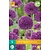 Jub Holland Allium Purple Sensation - 5 Bulbs