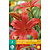 Jub Holland Lily Asiatic Red - 2 Bulbs