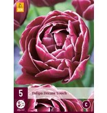 Jub Holland Tulip Dream Touch, prächtige rote Pfingsttulpe - ein wahr gewordener Traum!