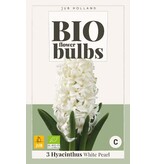 Jub Holland Hyacinth White Pearl are Organic Cultivated Flower Bulbs of High Quality!