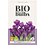 Jub Holland Crocus Flower Record - Nieuw - 10 Bollen