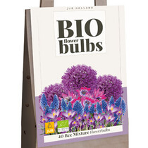 Bag With 40 Organic Flower Bulbs