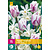 Jub Holland Tulip / Daffodil Mix - Folk Story - 15 Bulbs