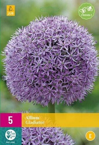 Plantes anti-taupes 5 bulbes (Allium Gladiator)