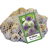 Jub Holland Allium Paars / Wit - Gemengde Bloemen - Laatbloeiers - Voor Een Natuurlijke Tuin