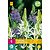 Jub Holland Camassia Leichtlinii Mix - 5 Bulbs