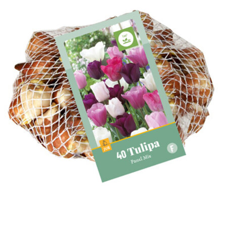 Jub Holland Tulp Pastel Mix - Gemengde Tulpenbollenbollen in Pastel Kleuren - 40 Bollen