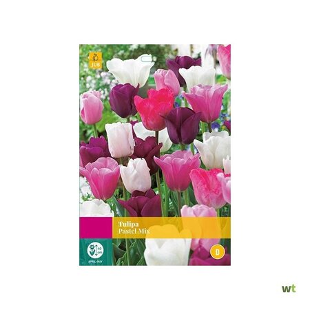 Jub Holland Tulip Pastel Mix - Mixed Tulip Bulbs in Pastel Colours - 35 Bulbs