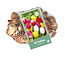 Jub Holland Tulp Triumph Mix - Grootverpakking Triumph Tulpen In Vele Kleuren - 35 Bollen