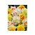Jub Holland Daffodil - Narcissus Double Mix - 30 Bulbs
