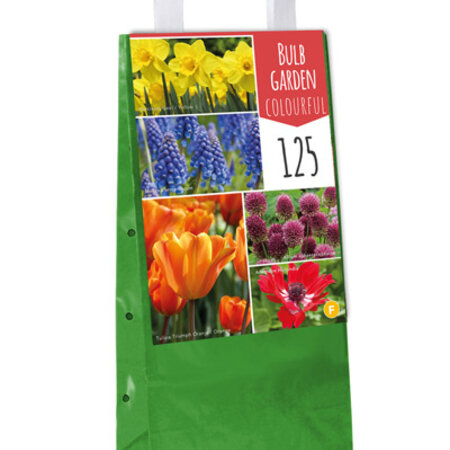 Jub Holland 125 Bloembollen In Tas - 5 Soorten - Alliums, Tulpen, Narcissen, Anemone, Muscari - Budget Sinterklaas - Kerst Cadeautjes