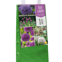 Bulb Garden Allium - 80 Bloembollen