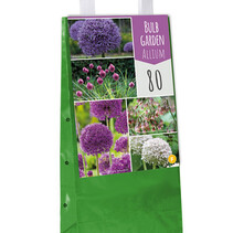Zwiebelgarten Allium - 80 Blumenzwiebeln