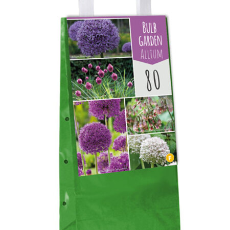 Jub Holland Bag With 80 Mixed Allium Bulbs In 5 Varieties - Gift - Business Gift - Budget Christmas Gift