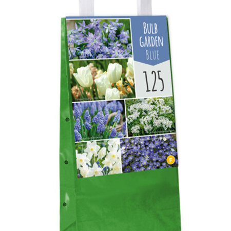 Jub Holland 125 Flower Bulbs - Blue And White Spring Flowers - 6 Varieties - Budget Christmas Gift