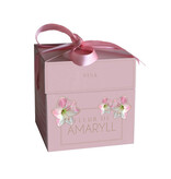 Jub Holland Amaryllis Roze In Luxe Verpakking - Relatiegeschenk - Budget Sinterklaas - Kerst Cadeautjes