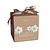 Jub Holland Amaryllis White In Luxury Gift Package - 1 Bulb