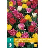 Jub Holland Tulp Double Early Gemengd - Dubbelbloemige Vroege Tulpen Mix