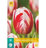 Jub Holland Tulp Carnaval De Rio - 7 Bloembollen - Rood / Witte Tulpen - Garden Select