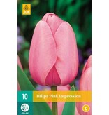 Jub Holland Tulip Pink Impression - Dainty Classic Soft Pink Tulips