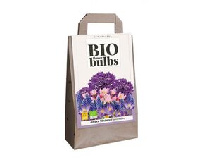 Organic Bulbs