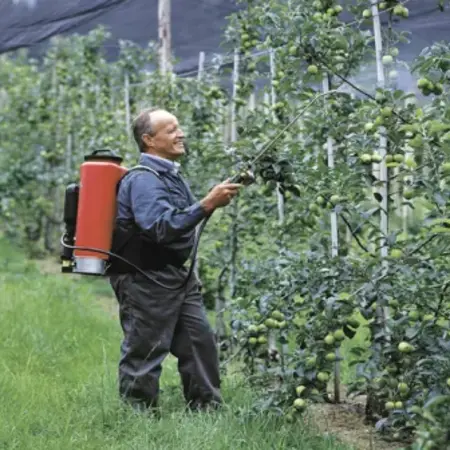 Birchmeier Birchmeier Pressure Sprayer 15 Liter - Professional Backpack - Garden Select