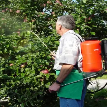 Birchmeier Birchmeier Pressure Sprayer 15 Liter - Professional Backpack - Garden Select