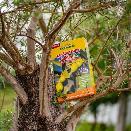ECOstyle Mest Voor Mediterrane Planten - Olijfbomen - Tropisch Terras en Balkon