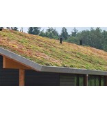ECOstyle Sedum AZ - 800 Gr. - Fertiliser For Green Roofs - You definitely need this!
