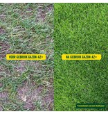 ECOstyle Rasendünger AZ 20 Kg. Für einen grünen und moosfreien Rasen - Für 265 m2