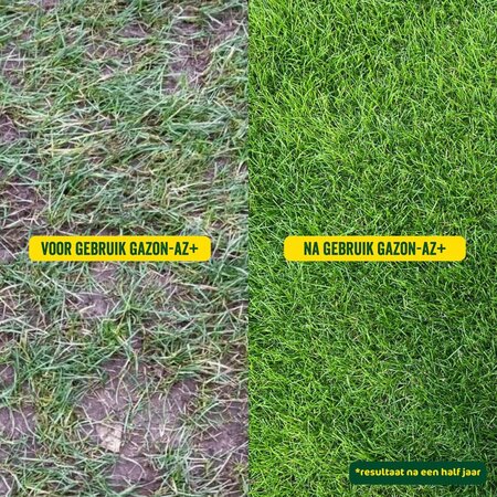 ECOstyle Lawn Fertiliser AZ 20 Kg. For a Green and Moss-free Lawn - For 265 m2