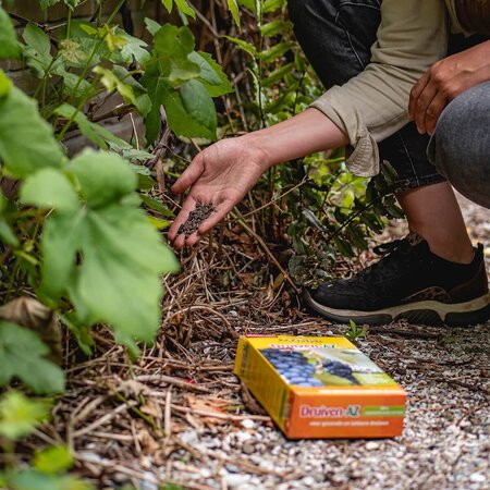 ECOstyle Druiven - Mest - AZ 800 Gram - Goed Voor 10 Planten - 100% Natuurlijke Mest