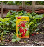 ECOstyle Strawberry Manure - AZ 800 Gram - For 30 Plants - Kitchen Garden