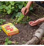 ECOstyle Strawberry Manure - AZ 800 Gram - For 30 Plants - Kitchen Garden