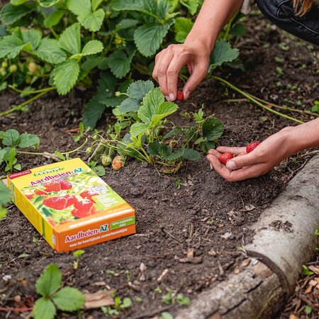 ECOstyle Strawberry Manure - AZ 800 Gram - For 30 Plants - Kitchen Garden
