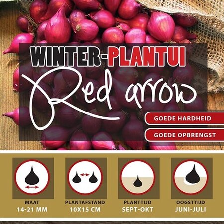 Winter Plantuien Red Arrow 250 Gram - Rode Uien - Moestuin