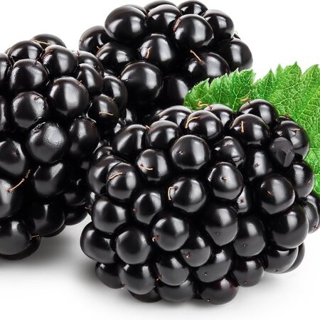 Blackberry plants - 3 Plants - Hardy - Fruit plants - Small fruit - 25 - 40 cm. High