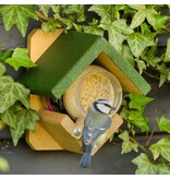 CJ Wildlife Vogel Erdnussbutter in Topfhalter für alle wilden Vögel - hängen an Wand, Baum oder Zaun