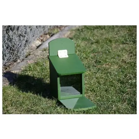CJ Wildlife Squirrel - Feeder Tofino - Bird protection - Green - Hanging on Tree