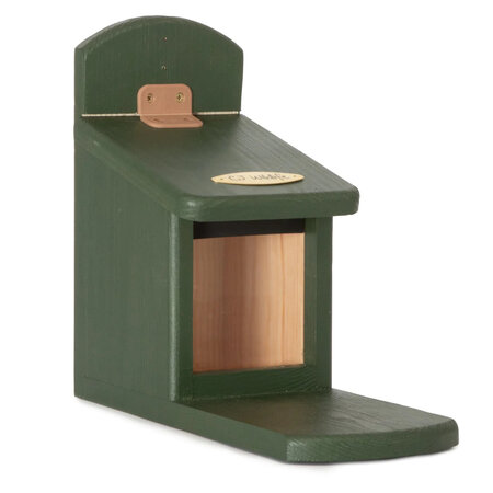 CJ Wildlife Squirrel - Feeder Tofino - Bird protection - Green - Hanging on Tree