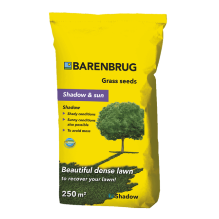 Barenbrug Shadow - Shade And Sun 5 Kg - Buy Shadow Grass? Up to 250 m2