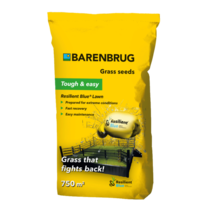 Grass Seed - Resilient Blue Lawn 15 Kg.
