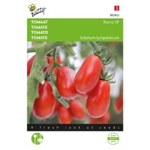 Tomato Roma VF
