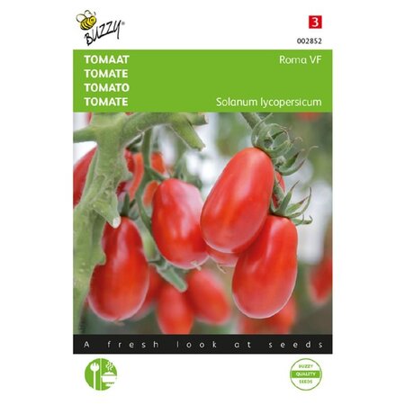 Buzzy Tomaten "Roma VF" - Solanum lycopersicum - Italiaanse Tomaten
