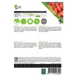 Buzzy Tomatoes "Roma VF" - Solanum lycopersicum - Italian Tomatoes
